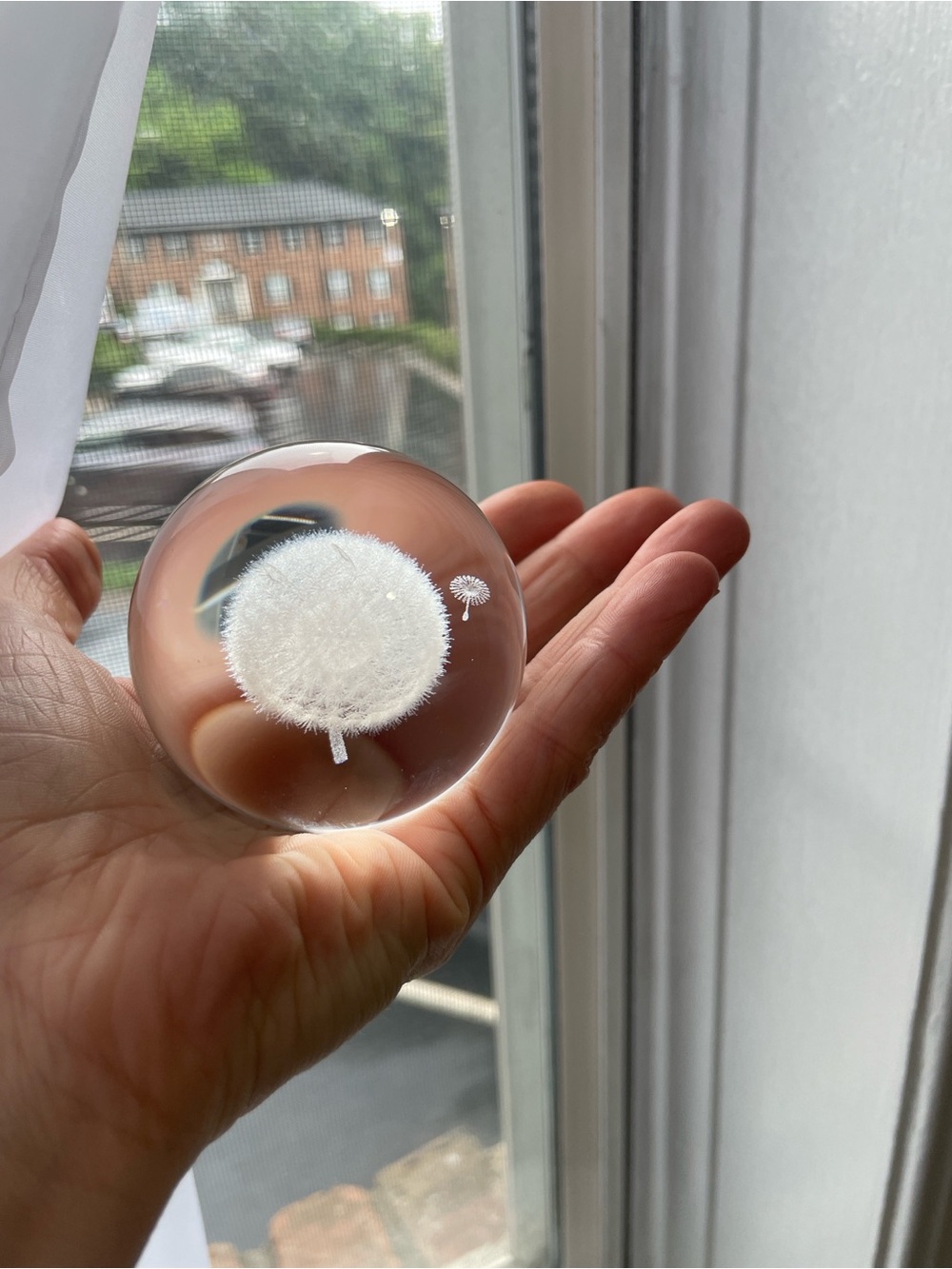 3D Dandelion Crystal Ball Paperweight • Elegant Home Decor